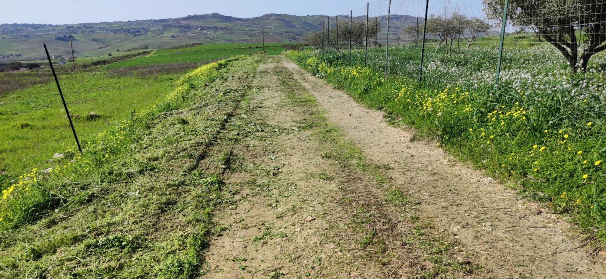 B&B Della Via Francigena Agrigent Exterior foto